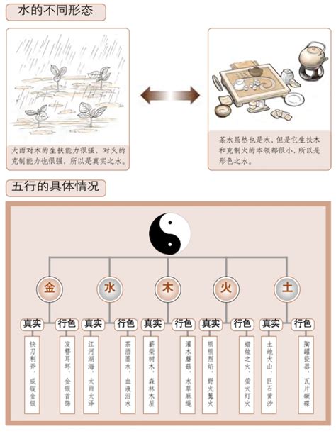 五行屬水國家|五行（对万事万物的取象比类）